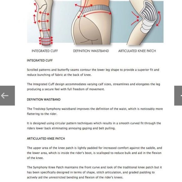 Symphony by Tredstep Rosa Side Zip Beige Khaki Breeches Riding Pants Size 26 R - Picture 15 of 15